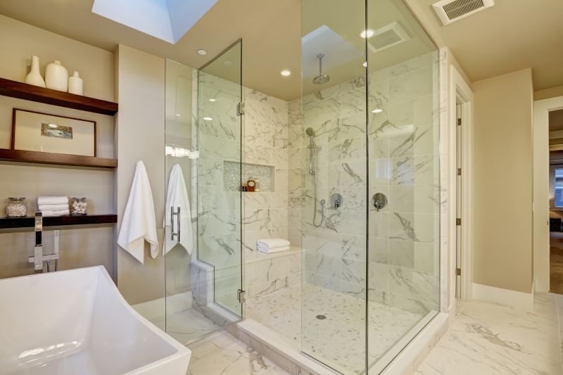 Elegant Shower Upgrade